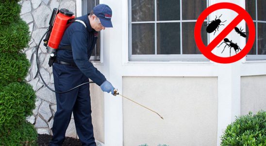Şalpazarı Dezenfeksiyon böcek ilaçlama ve haşere kontrolü — ilaclama-tr.com